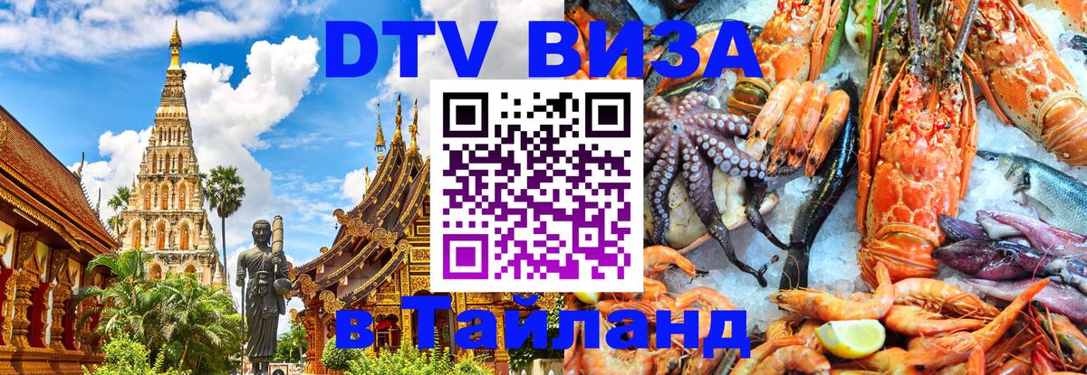 Оформление DTV визы под ключ: стоимость и тарифы, только загранпаспорт - Новошахтинск  18.11.2025 